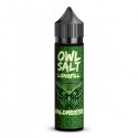 OWL SALT Waldmeister Aroma 10ml